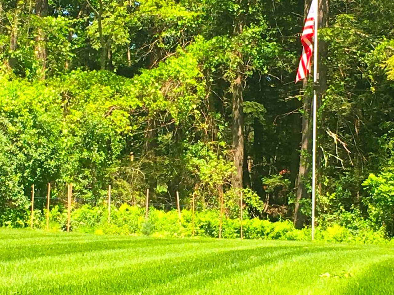 Cozy Log Cabin with a Private Hot Tub near Beartown State Forest, Massachusetts