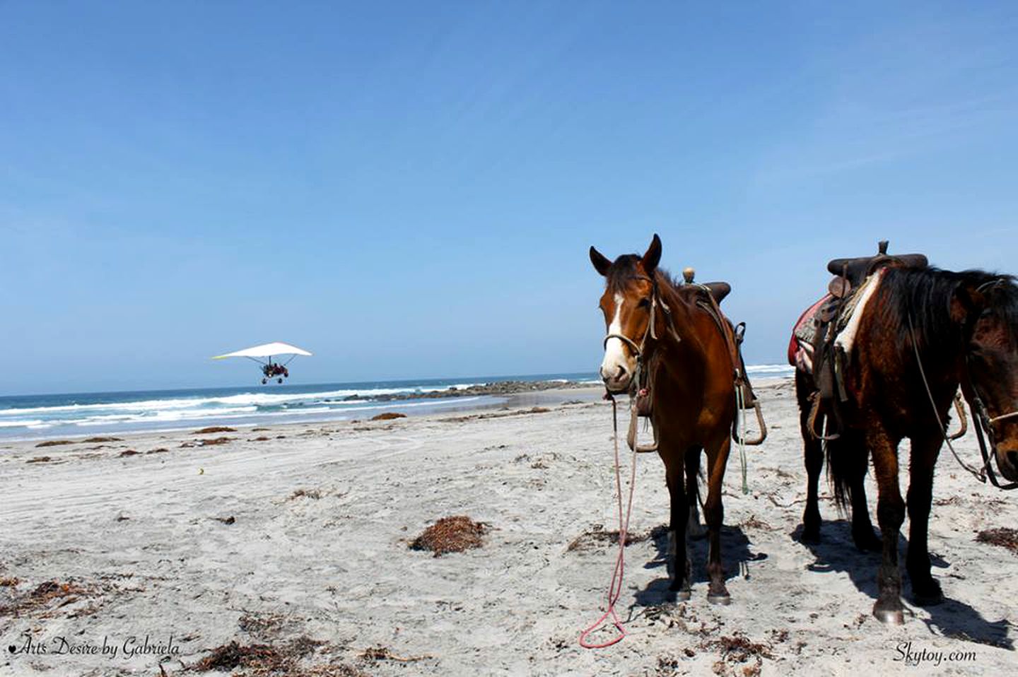 Family-Friendly Luxury Suite Rental in Marina near Rosario, Baja California, Mexico