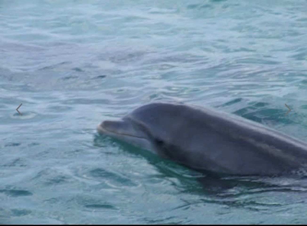 Spacious Family-Friendly Beach House with Dock Access near Little Gasparilla Island, Florida