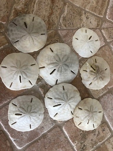 Vacation Rentals (United States of America, Placida, Florida)