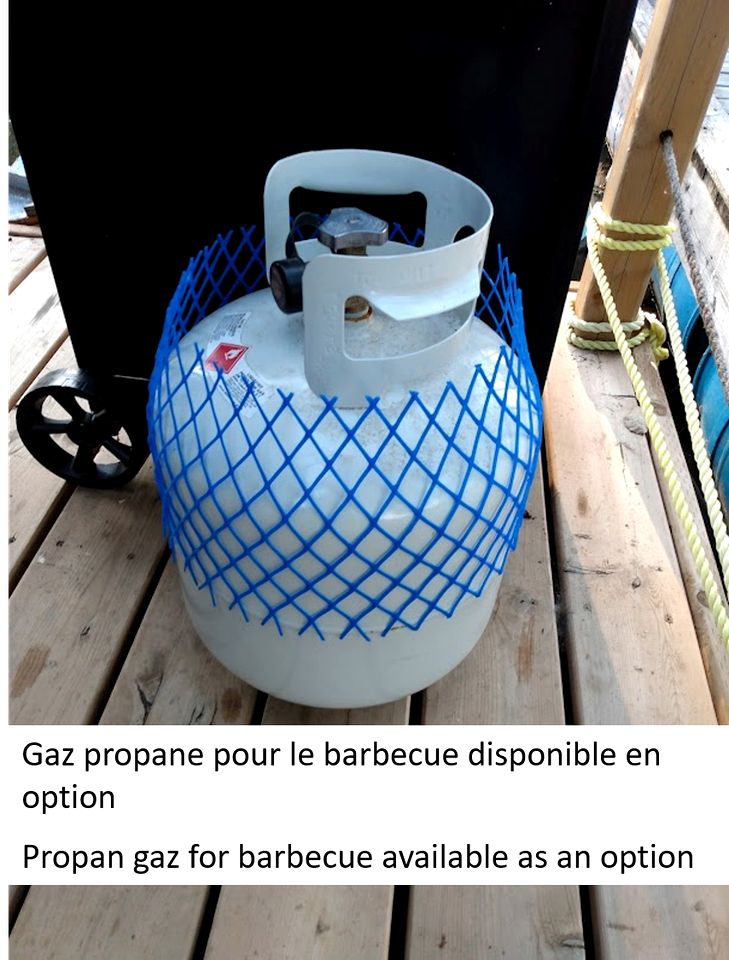 Cozy Floating Home with Barbecue in Ile-aux-Noix, Quebec