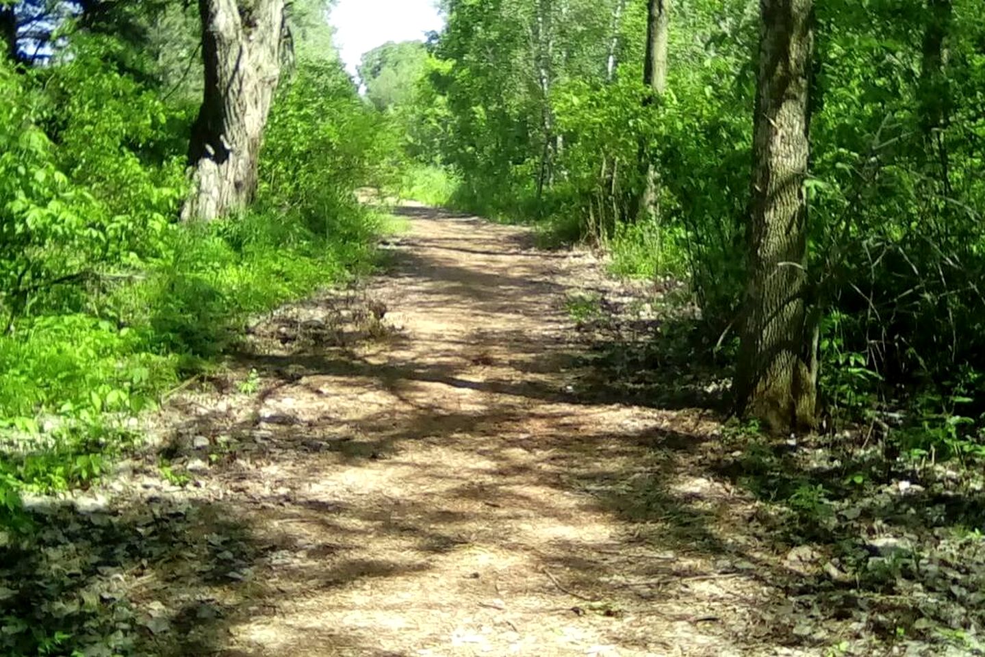 Breathtaking Floating Home with Barbecue in Ile-aux-Noix, Quebec