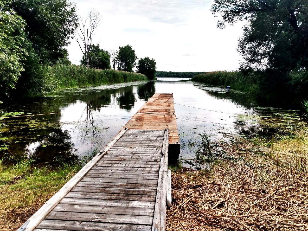 Fantastic Floating Home Barbecue Provided in Île-aux-Noix, Quebec