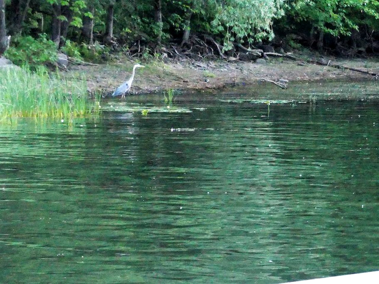 Stunning Floating Home Barbecue Provided in Ile-aux-Noix, Quebec