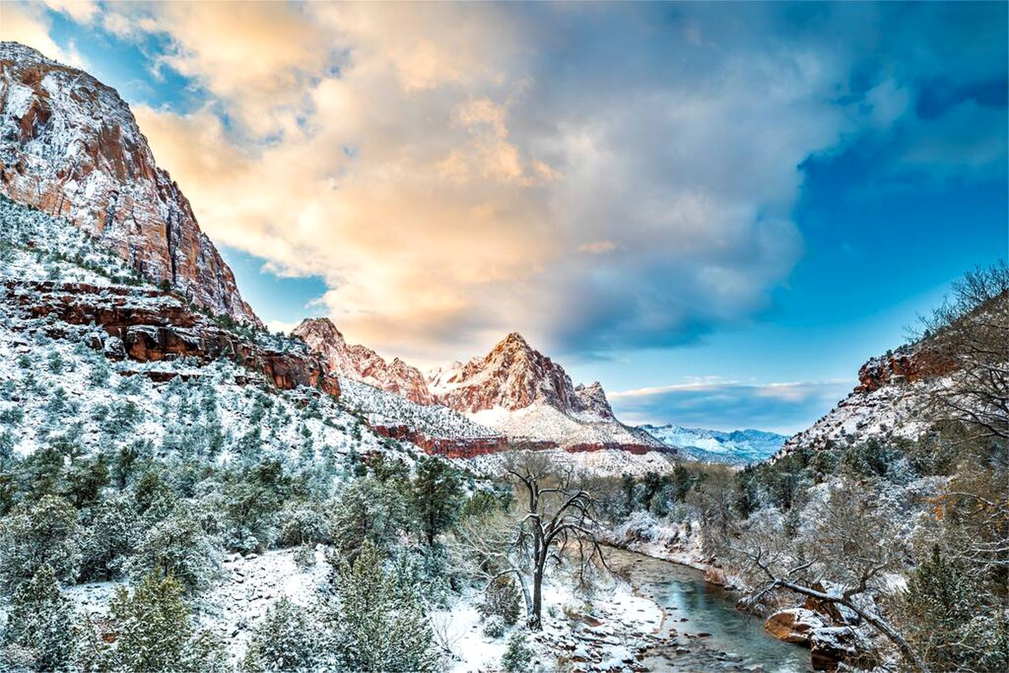 Explore Nature in Style: Discover This Tiny Home Getaway in Apple Valley, Utah