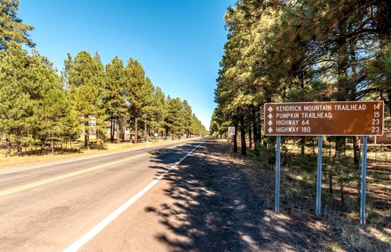 Log Cabins (United States of America, Parks, Arizona)