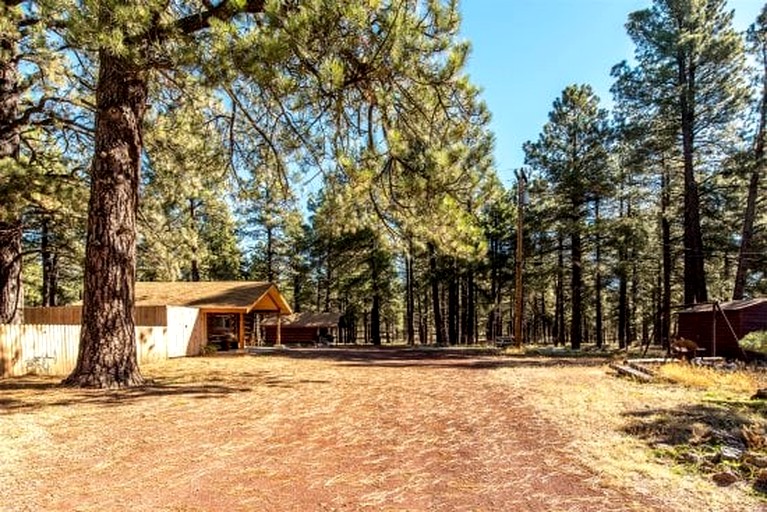 Log Cabins (United States of America, Parks, Arizona)