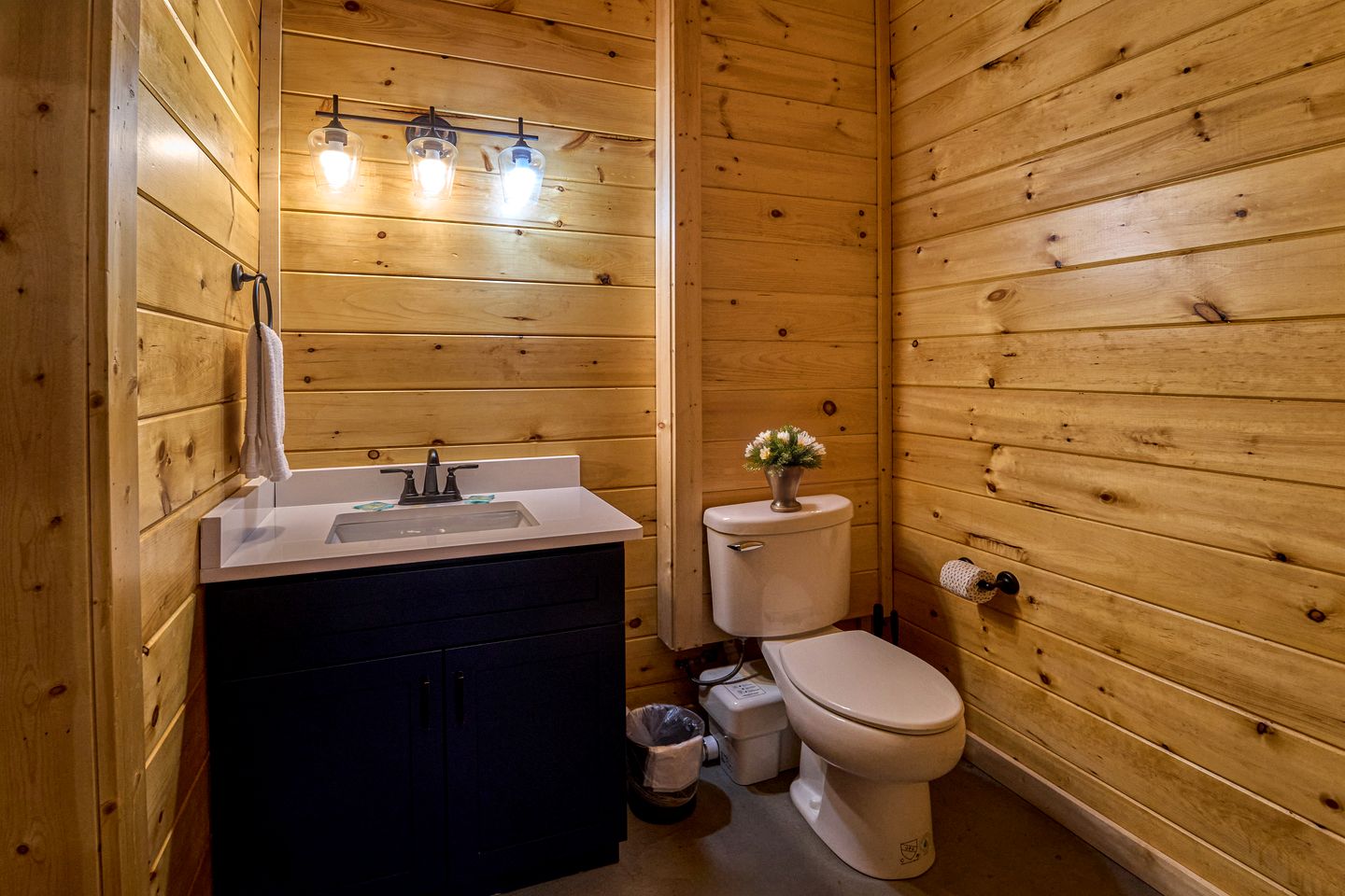 Stunning Spacious Cabin with Fire Pit, Game Room, Jacuzzi and Deck in TN