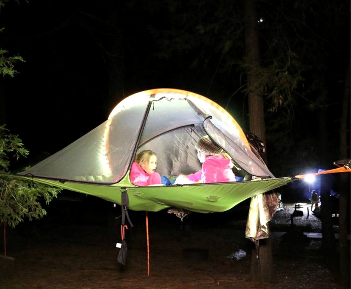 Alter Experiences - Tree Tent Glamping in Julian - Tent