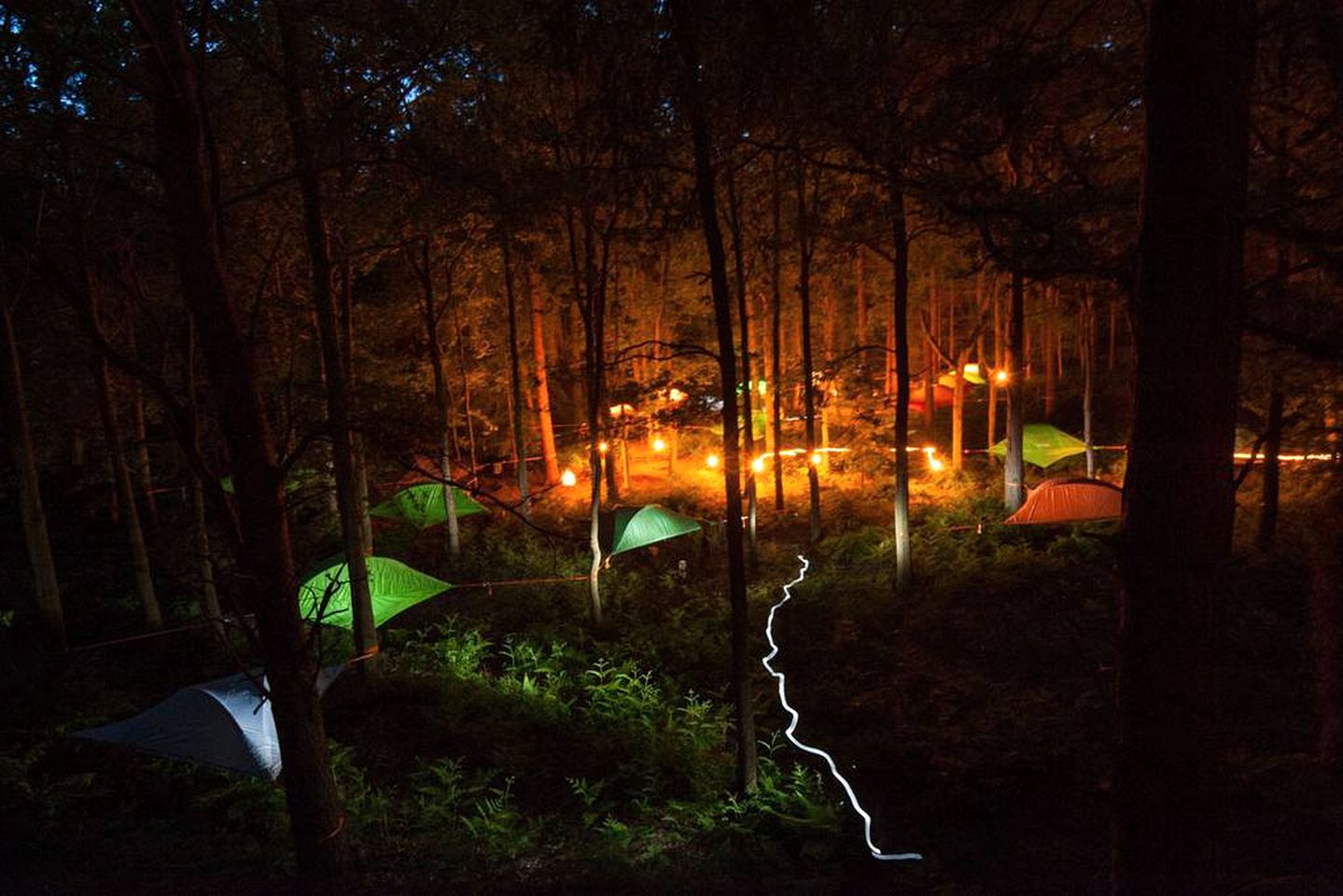 Alter Experiences - Tree Tent Glamping in Julian - Tent