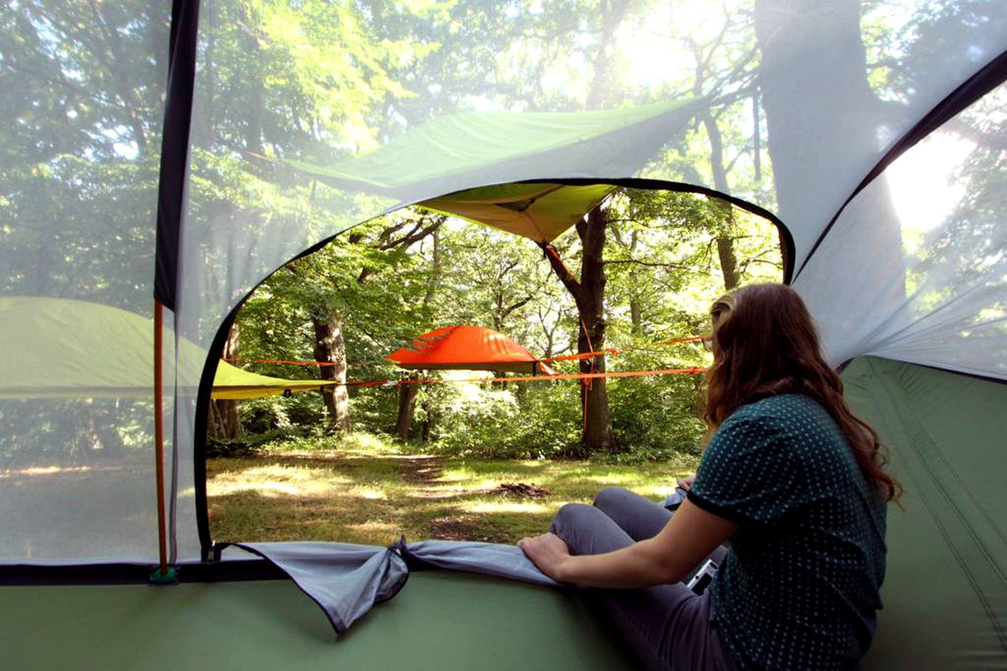 Alter Experiences - Tree Tent Glamping in Julian - Tent