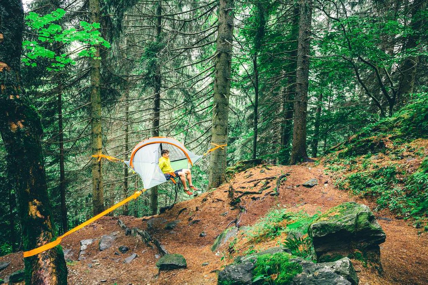 Alter Experiences - Tree Tent Glamping in Julian - Tent