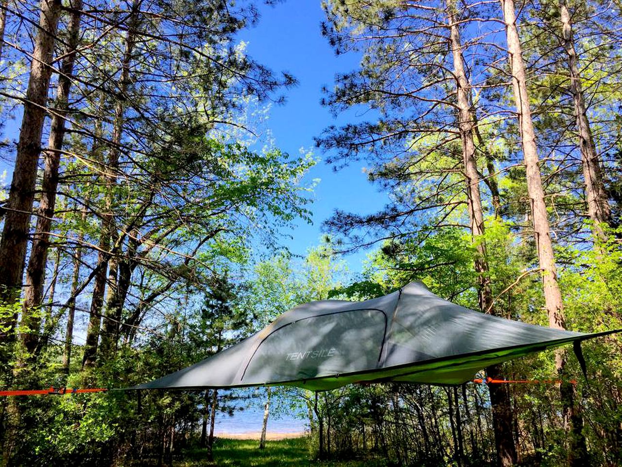Alter Experiences - Tree Tent Glamping in Julian - Tent