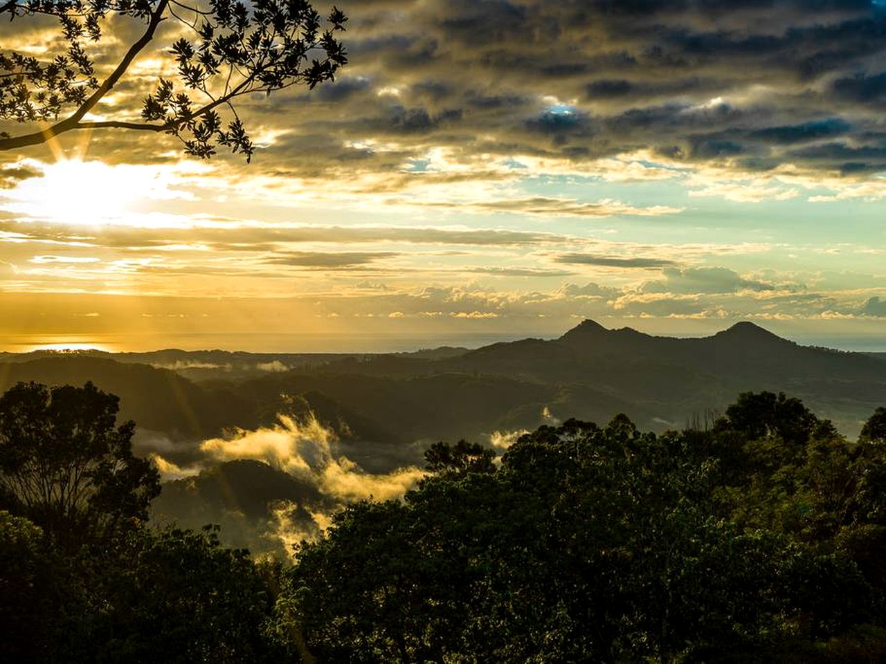 Luxurious Villa Rental with a Pool near Mullumbimby, New South Wales