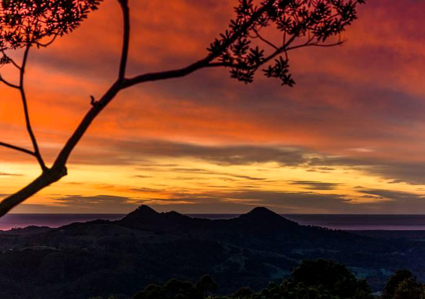 Luxurious Villa Rental with a Pool near Mullumbimby, New South Wales