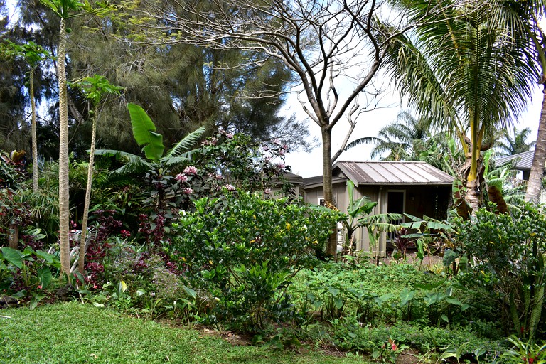 Cabins (Hawi, Hawaii, United States)