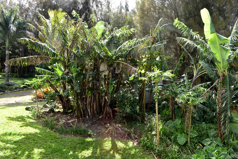 Cabins (Hawi, Hawaii, United States)