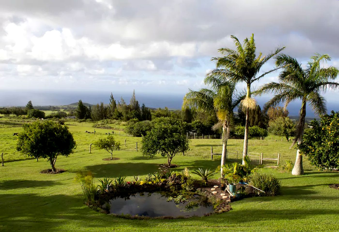 Modern and Eco-Friendly Bungalow on the Big Island of Hawaii