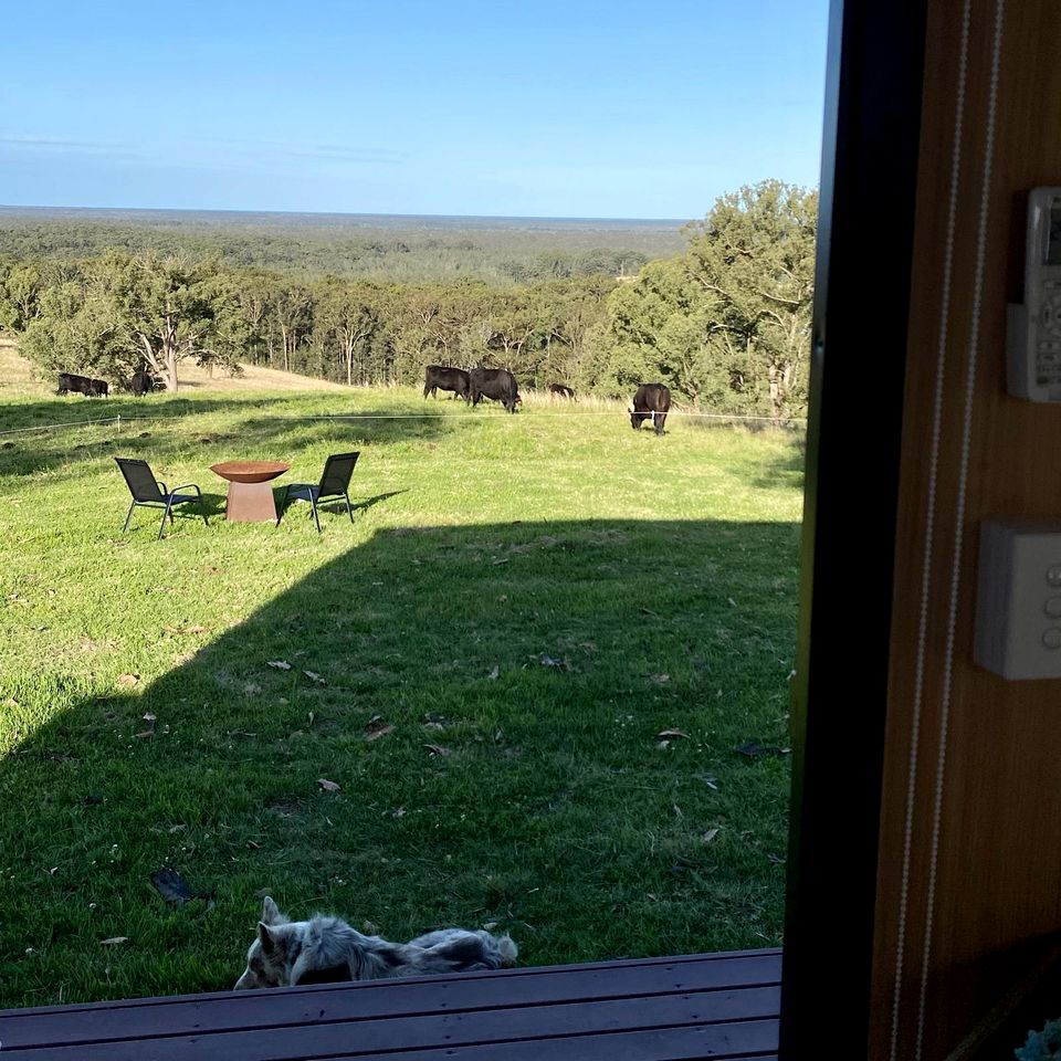 Beautiful Hilltop Tiny House with Breathtaking Views on a Cattle and Equine Training Property in Minimbah, New South Wales