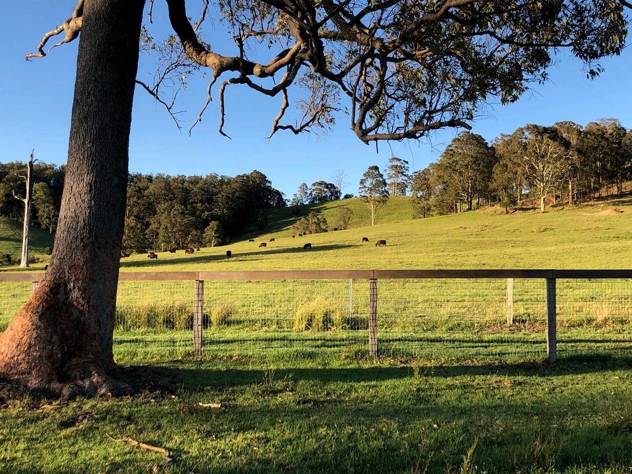Beautiful Hilltop Tiny House with Breathtaking Views on a Cattle and Equine Training Property in Minimbah, New South Wales