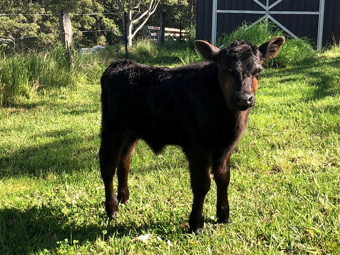 Vacation Rentals (Australia, --, --)