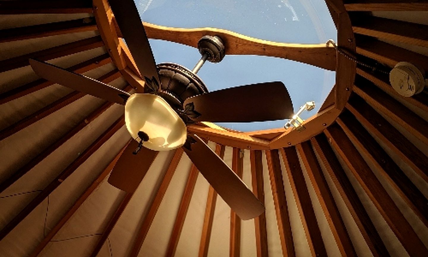 Amazing 24-Foot Yurt Rental for Family Glamping in North Carolina