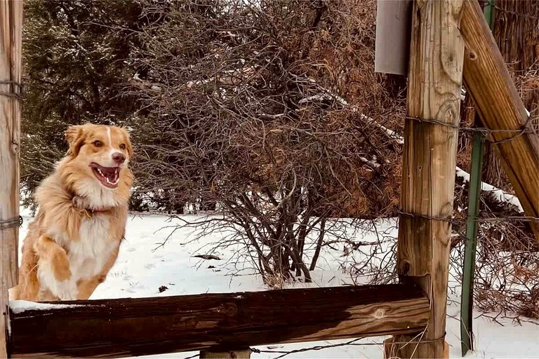 Cabins (United States of America, San Bernardino, California)