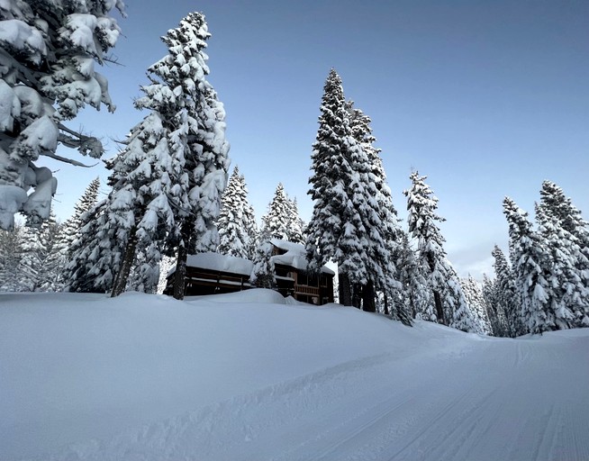 Cabins (United States of America, Bear Valley , California)