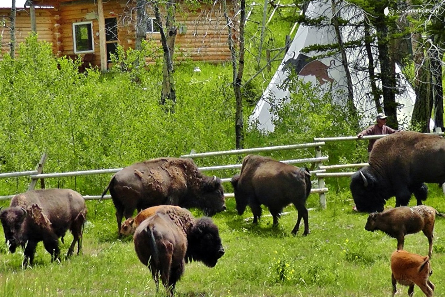 Ranch near Yellowstone, Montana