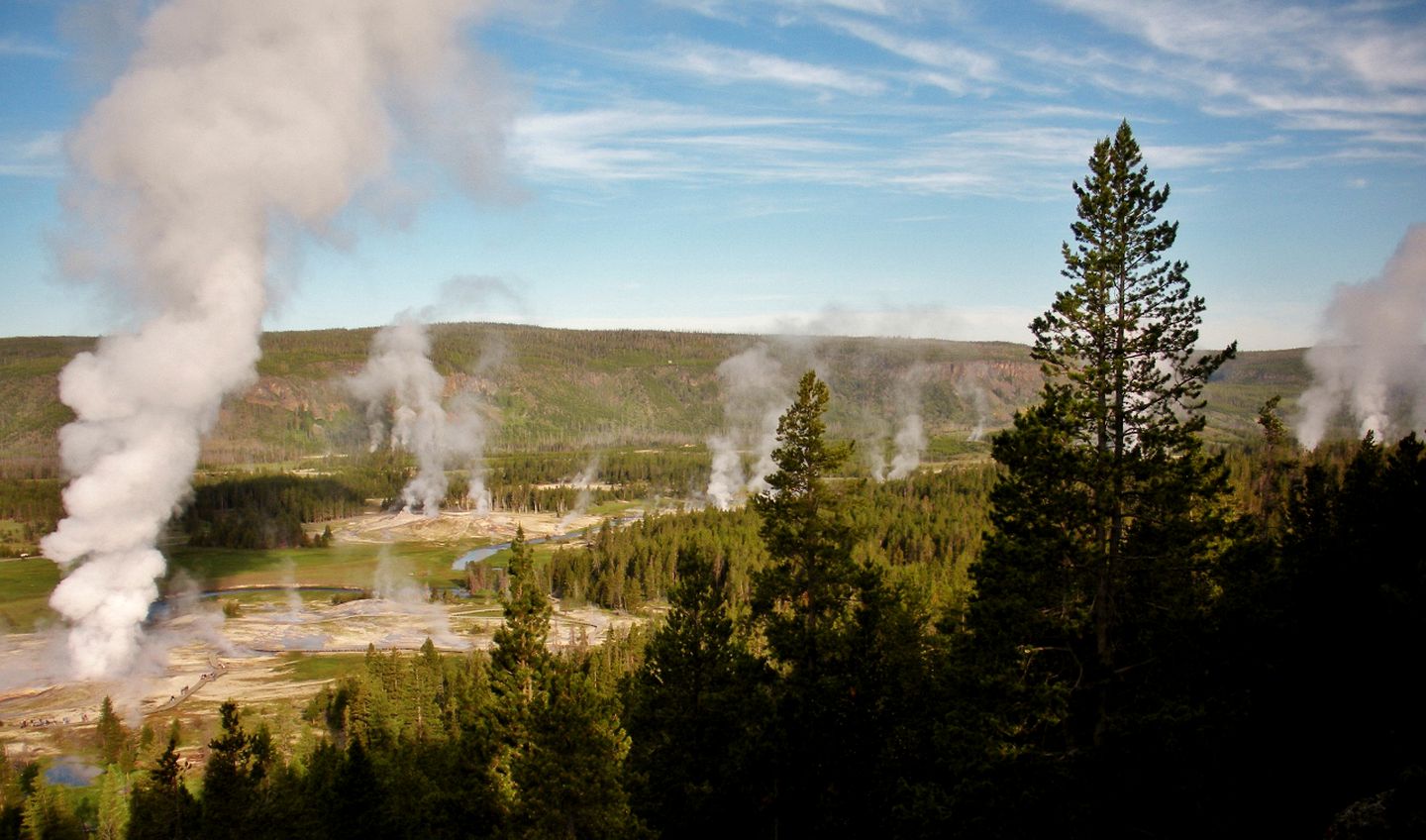 Amazing Bison Ranch with Western Flair near Yellowstone, Montana