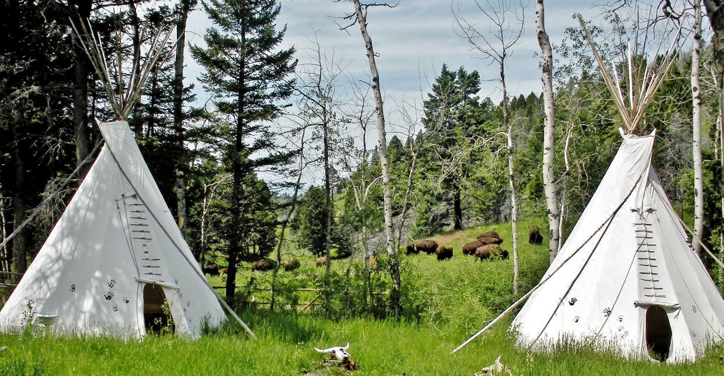 Amazing Bison Ranch with Western Flair near Yellowstone, Montana