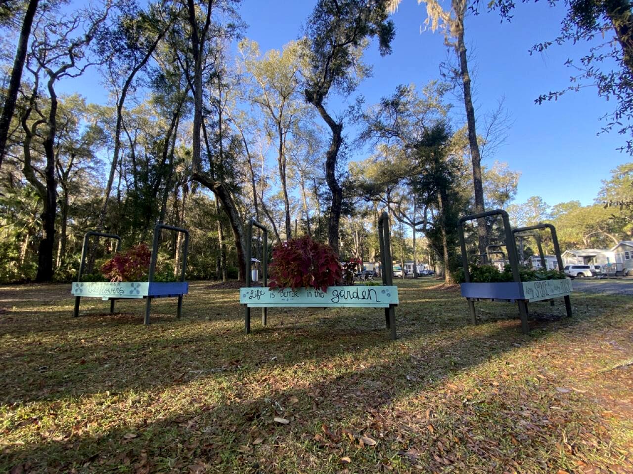 Amazing Cottage Surrounded by Trees in Dunnellon, Florida