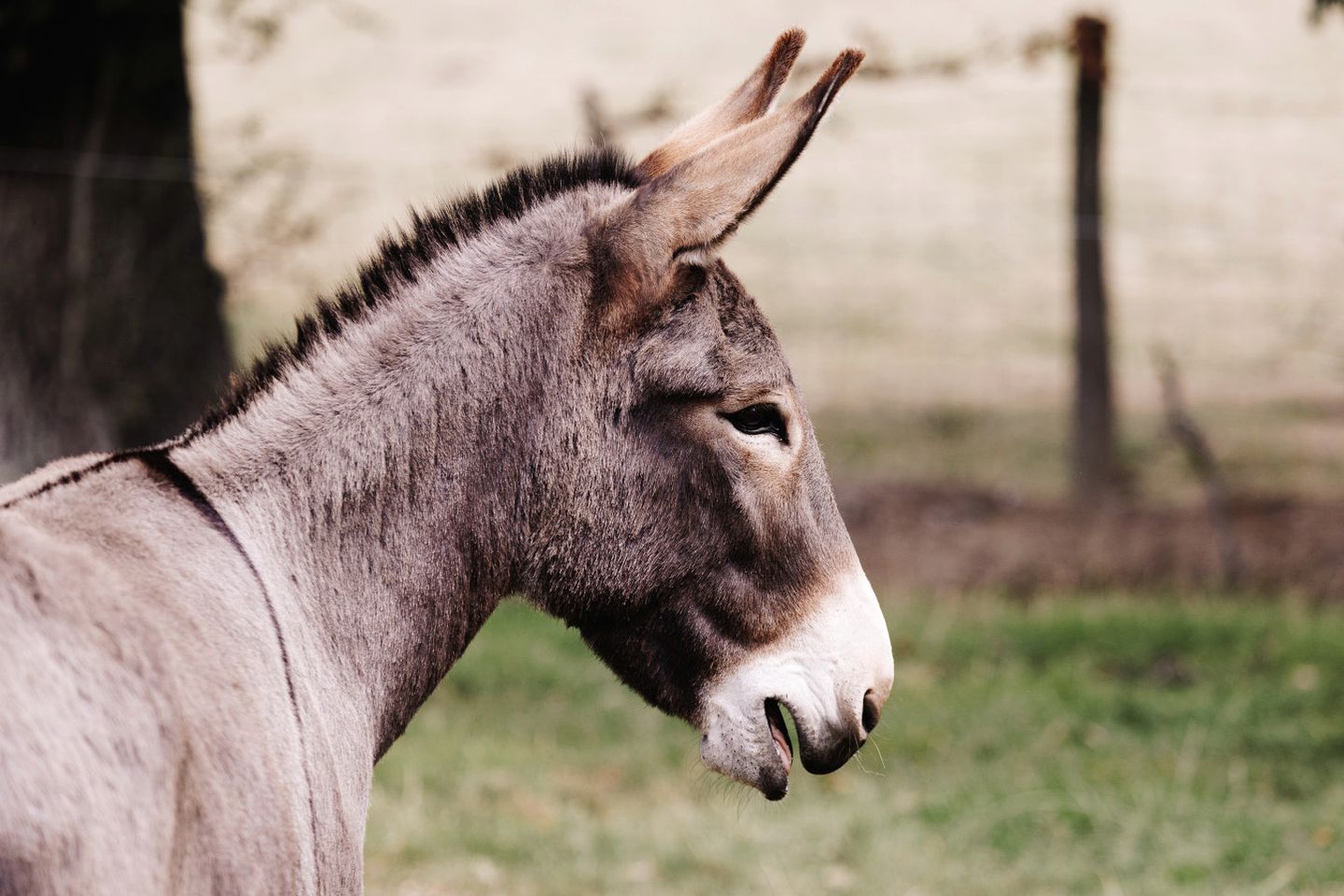 Amazing Family-Friendly Pod with Jacuzzi and BBQ in UK