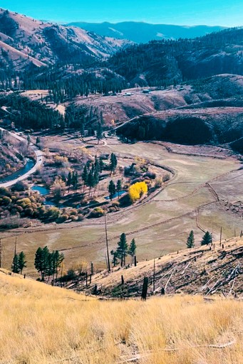 Log Cabins (United States of America, Conner, Montana)
