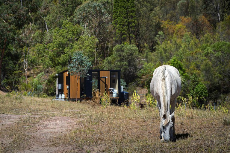 Tiny Houses (Australia, Martindale, New South Wales)