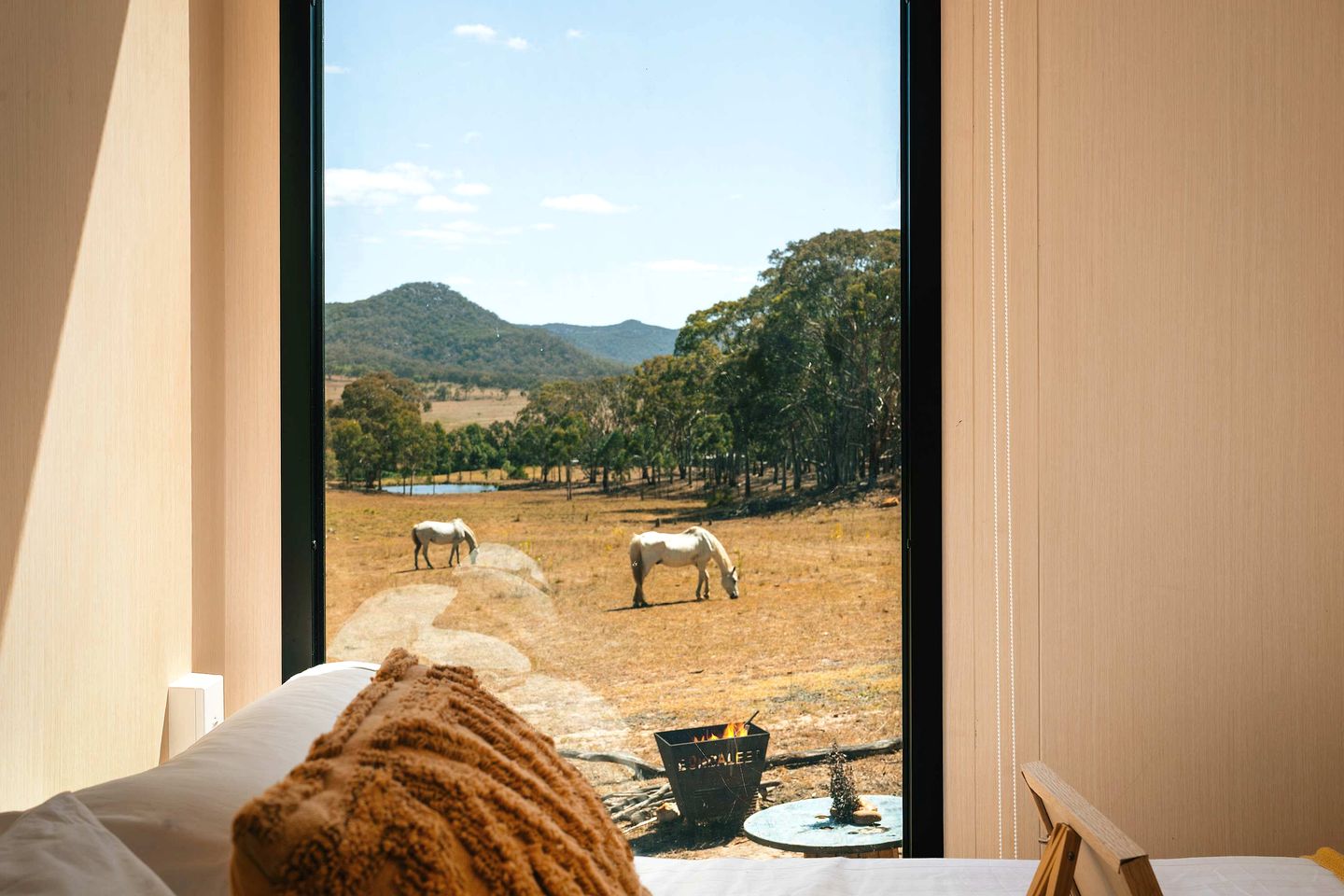 Amazing Pet-Friendly Tiny House in New South Wales, Australia