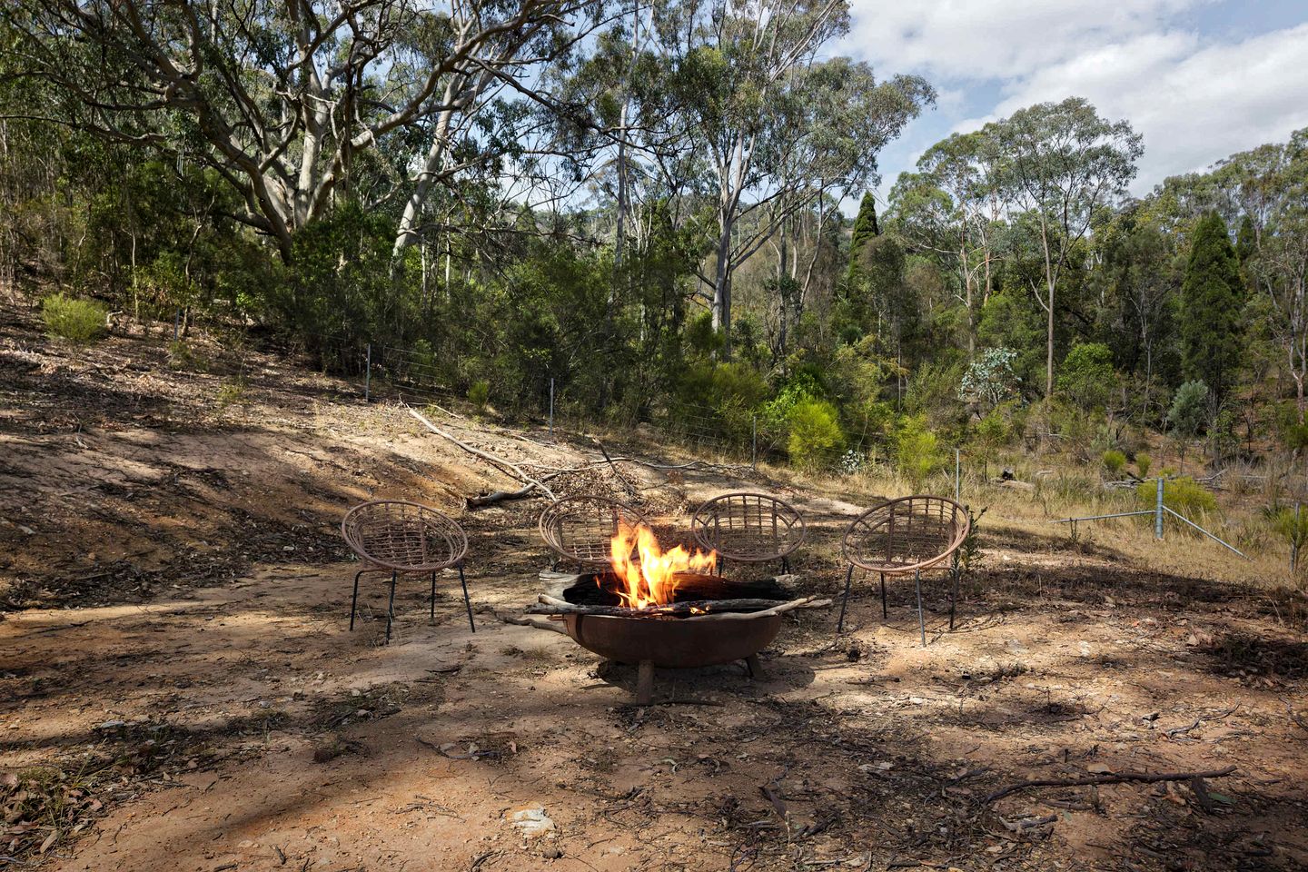 Amazing Pet-Friendly Tiny House in New South Wales, Australia