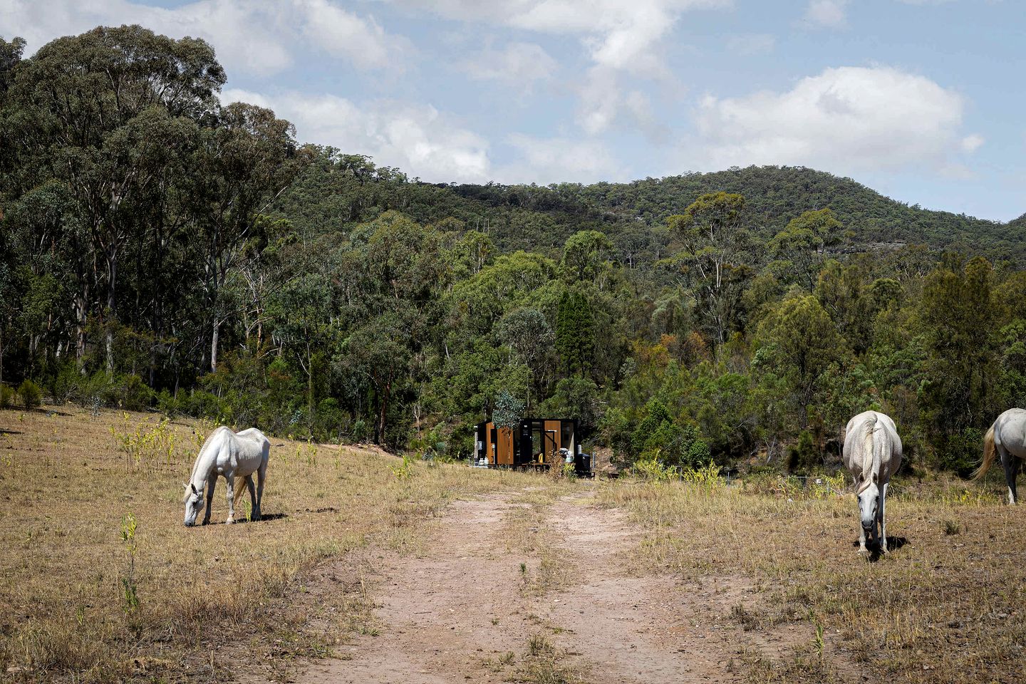 Amazing Pet-Friendly Tiny House in New South Wales, Australia