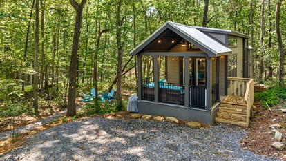 Amazing Secluded Cabin with Fire Pit and Fireplace in Mentore, Alabama photo 3