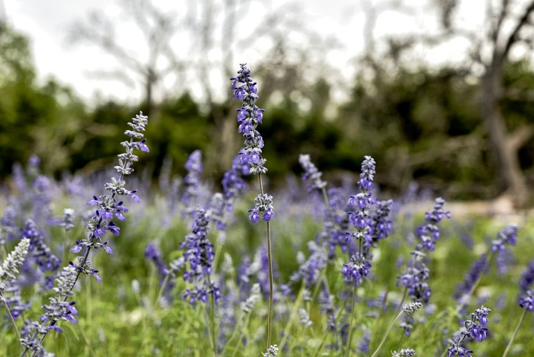 Containers (United States of America, Fredericksburg, Texas)