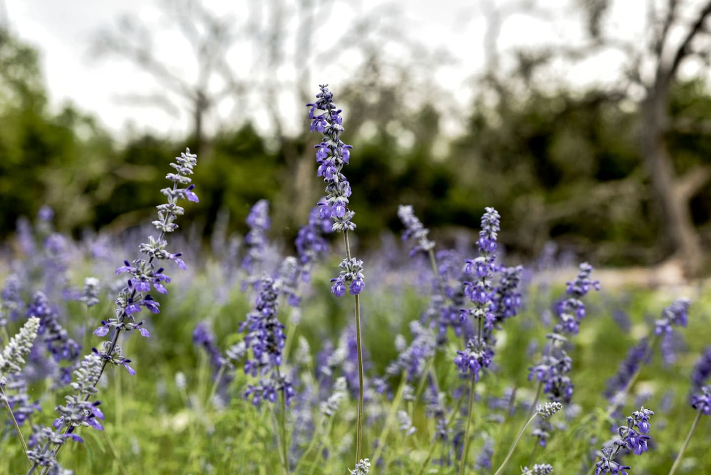 Amazing Secluded Container with Fire Pit in Fredericksburg, Texas