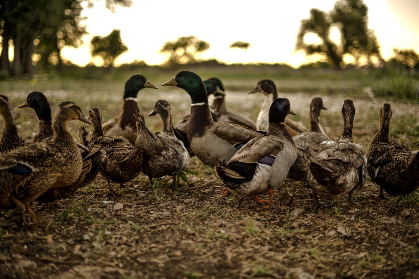 Amazing Secluded Container with Fire Pit in Fredericksburg, Texas