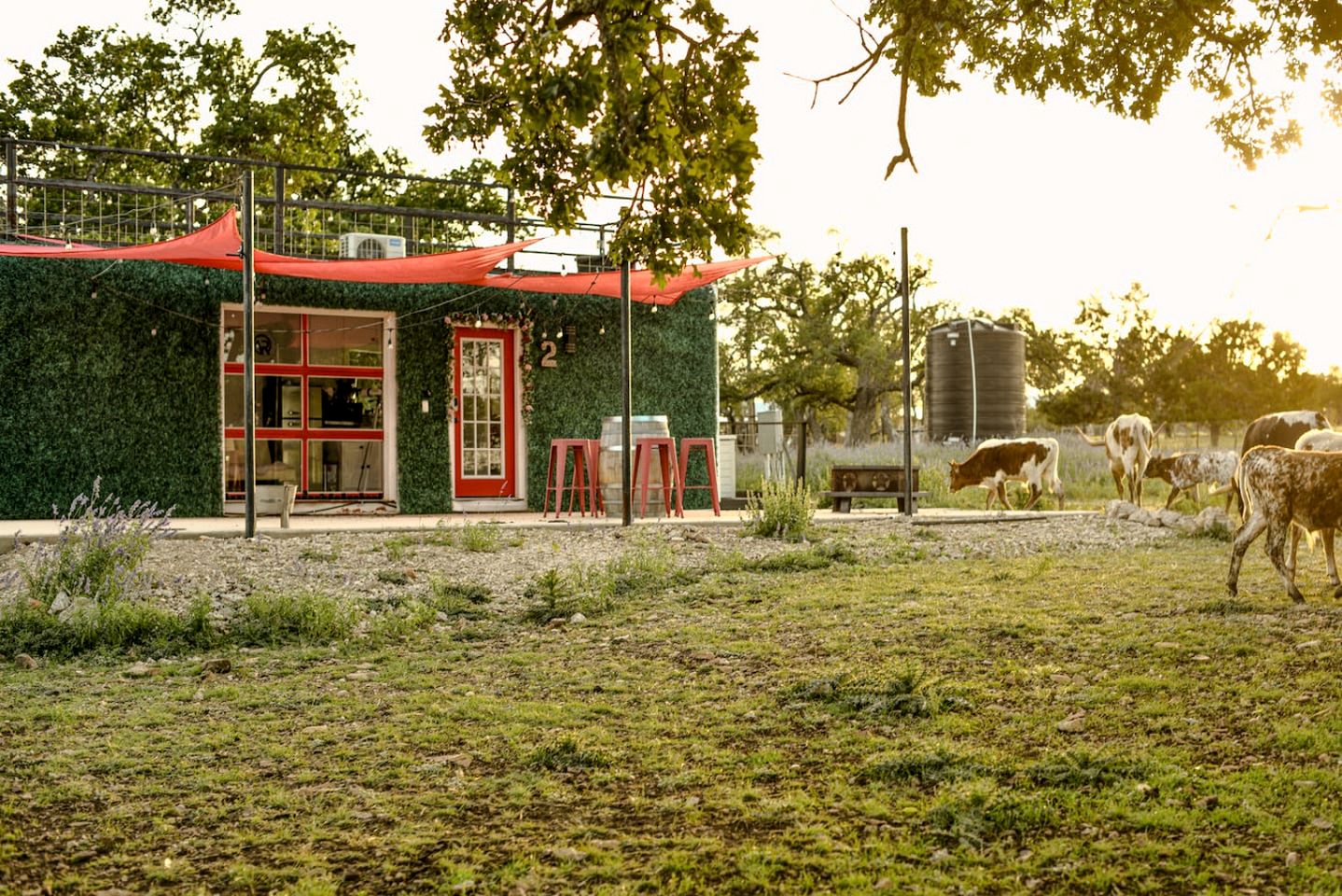 Amazing Secluded Container with Fire Pit in Fredericksburg, Texas