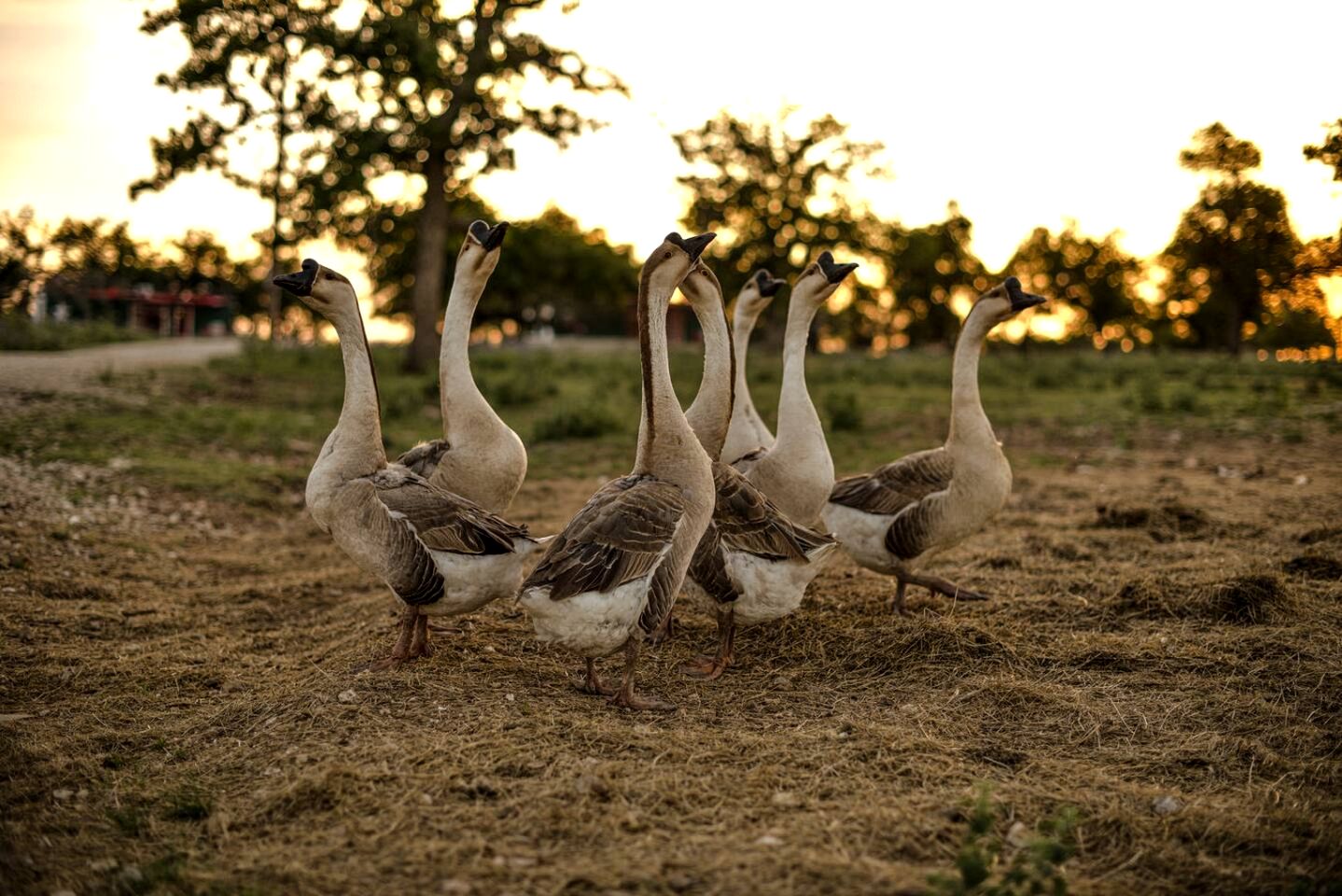 Amazing Secluded Container with Fire Pit in Fredericksburg, Texas