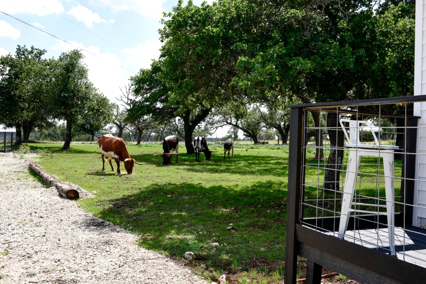 Amazing Secluded Container with Fire Pit in Fredericksburg, Texas
