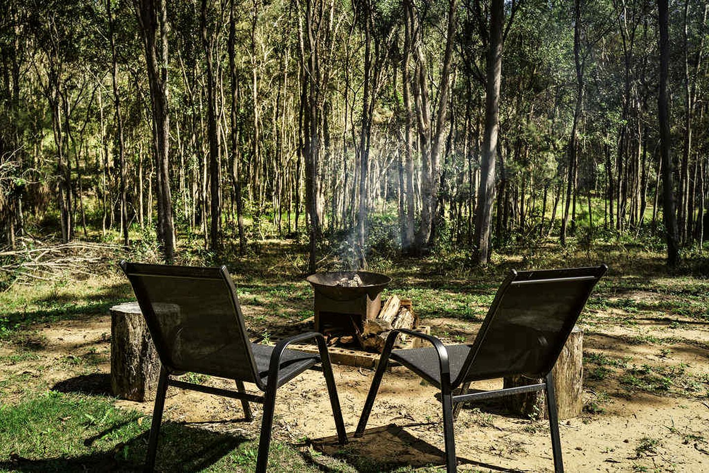 Amazing Tiny House Farm Stay Surrounded by Wildlife for a Peaceful Escape in Nature in Logan Village, Queensland