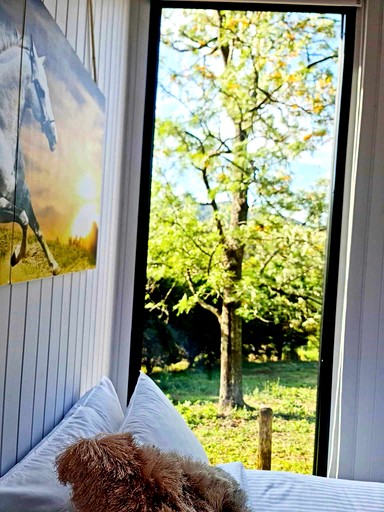 Tiny Houses (Australia, Tamborine Mountain, Queensland)