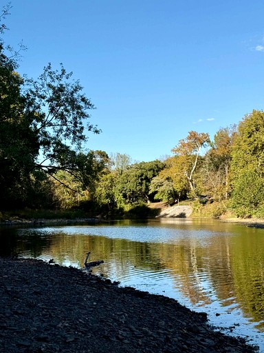 Vacation Rentals (United States of America, Great Cacapon, West Virginia)