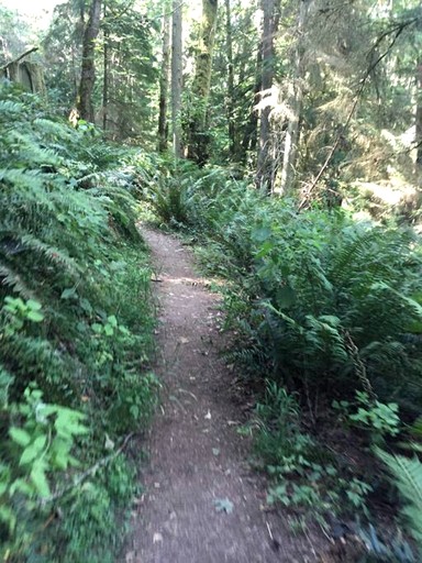 Vacation Rentals (United States of America, Lummi Island, Washington)