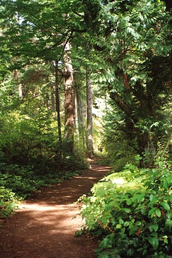 Vacation Rentals (United States of America, Lummi Island, Washington)